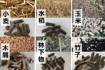 凯时·[中国]官方网站