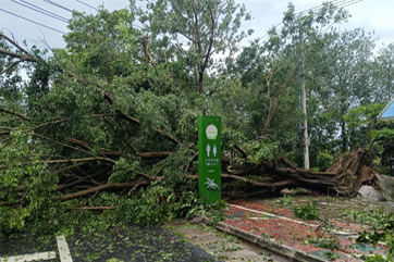 凯时·[中国]官方网站